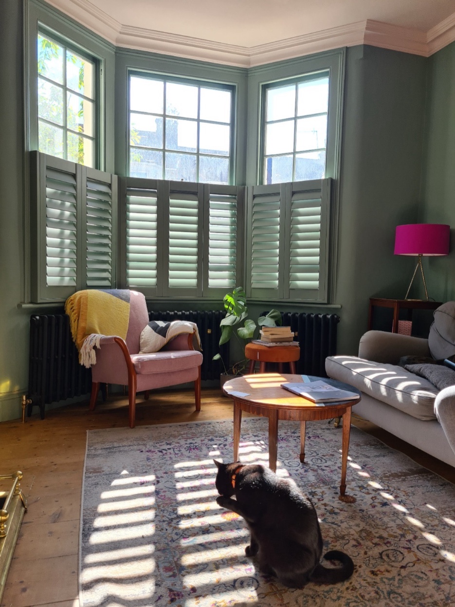 Living room with original Victorian bay window painted in deep sage green, pink armchair, shuttered windows, original floorboards, and a cat in the sunlight